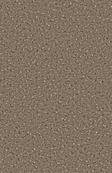 Rechteckbild vom Alexis